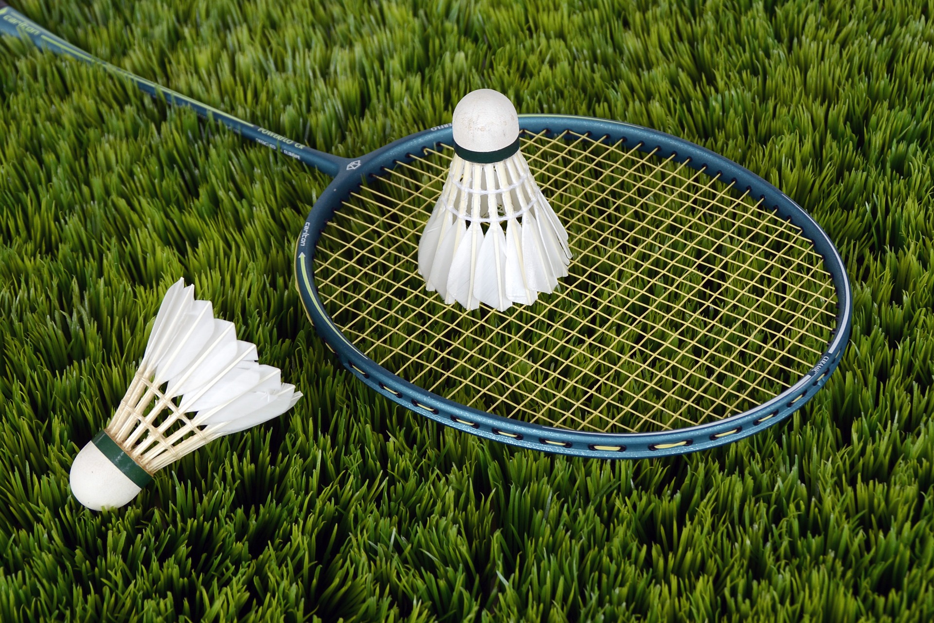 badminton-1428046_1920.jpg