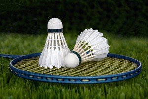 badminton-1428047_1920.jpg