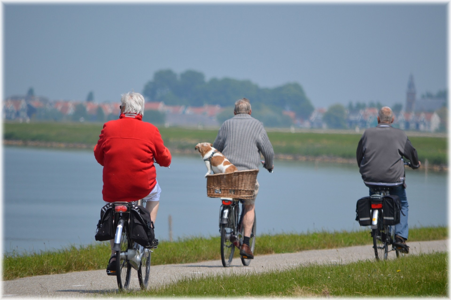 active-bikes-cyclist-264073.jpg