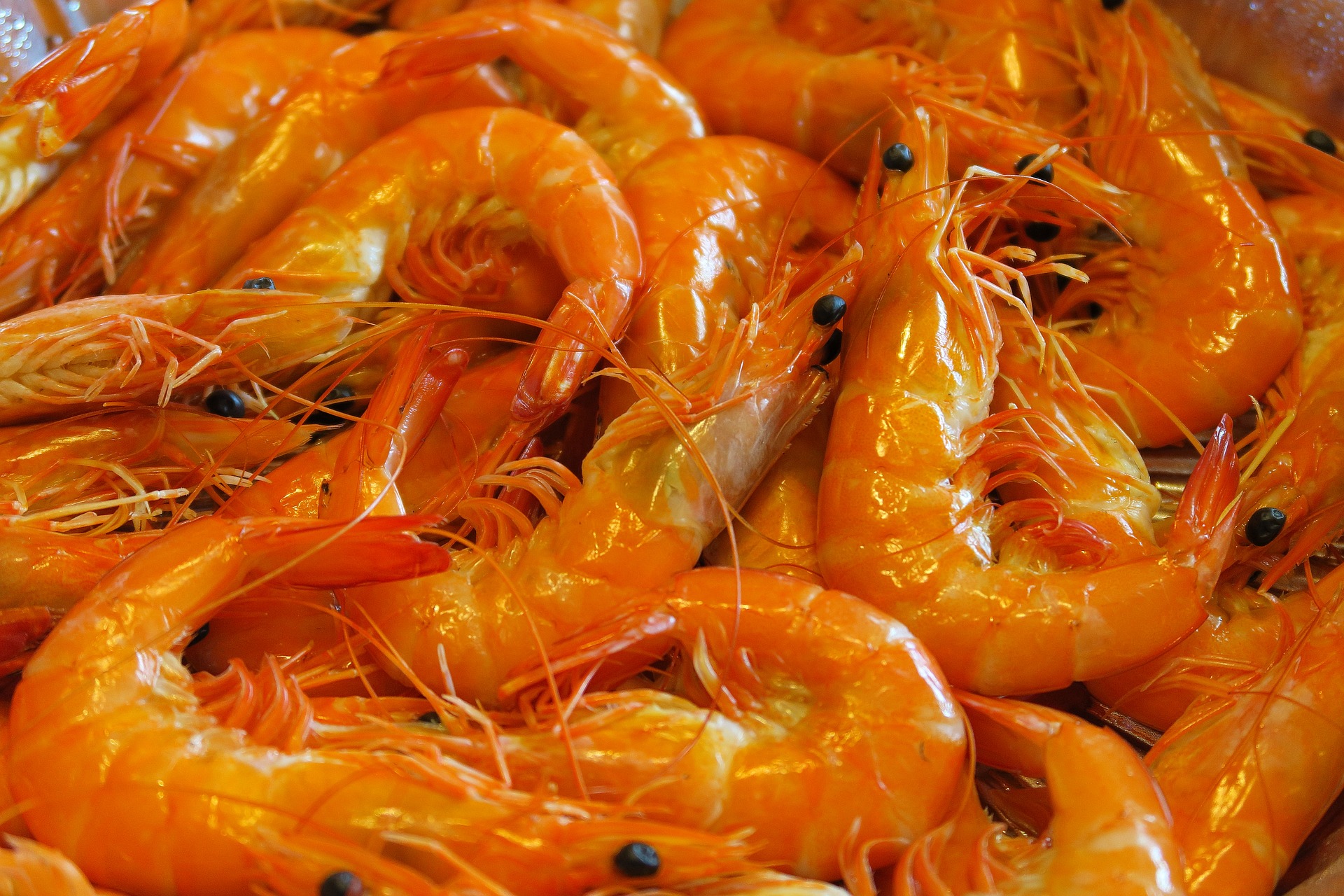 food-3160189_1920.jpg