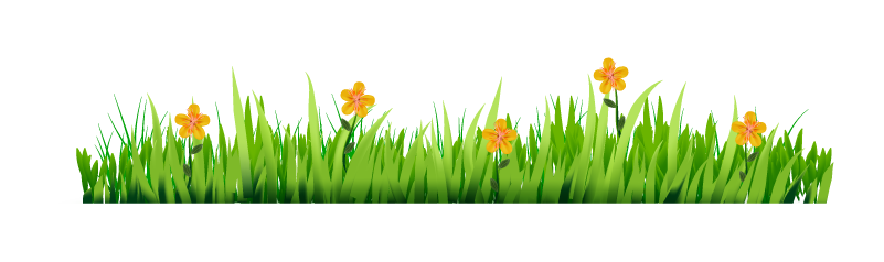 Decorative-grass-borders-with-pretty-flowers 3.png