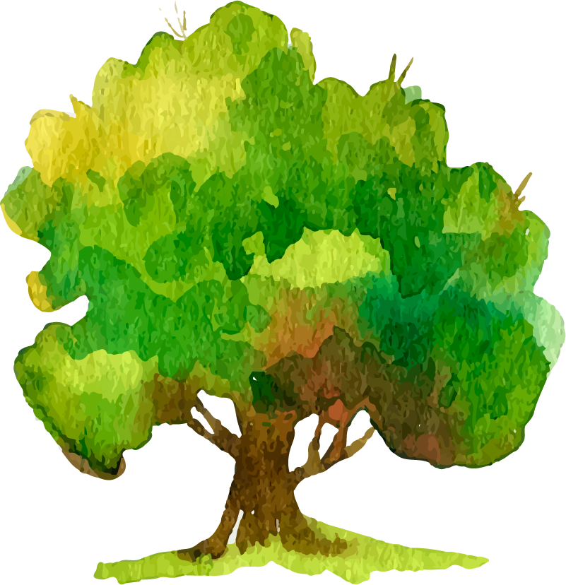 Set-of-trees-in-watercolor-style 1.png