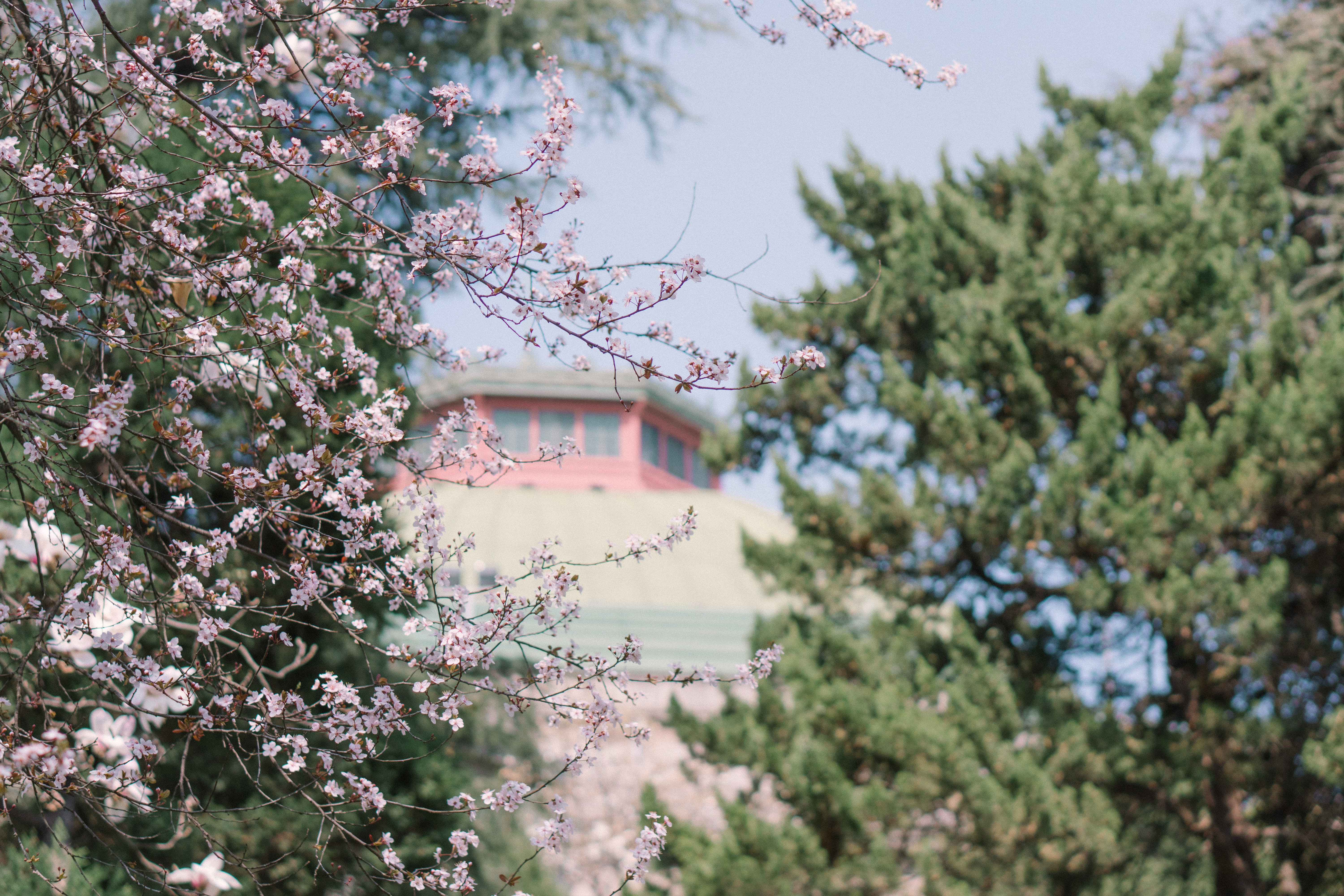xianyu-hao-B2r6yMRW6YA-unsplash.jpg