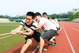 sports-766889_1920.jpg