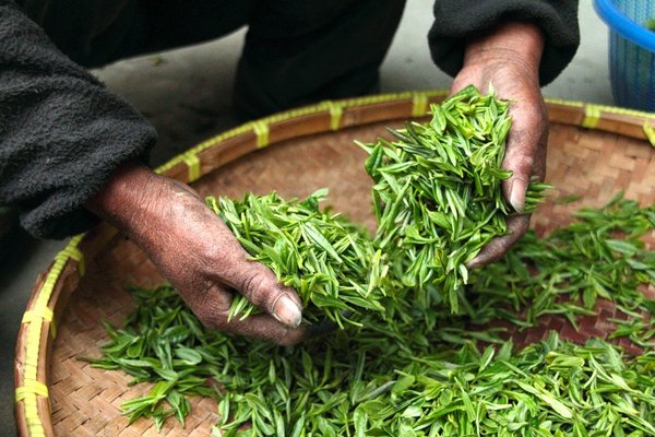 茶多酚检测,检测报告,真人网站第三方检测机构